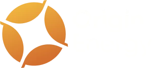 Origin Energy Logo